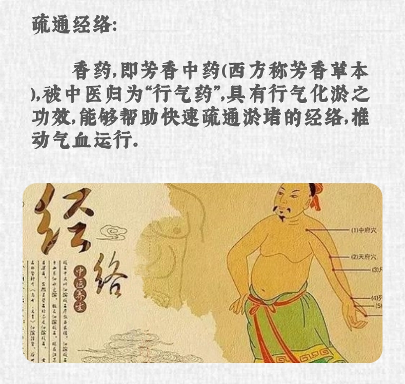 新身体套1_4@凡科快图.jpg